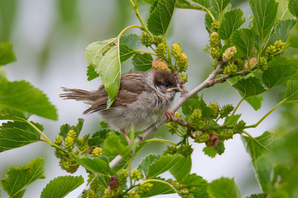 Photograph by Денис Ветренко