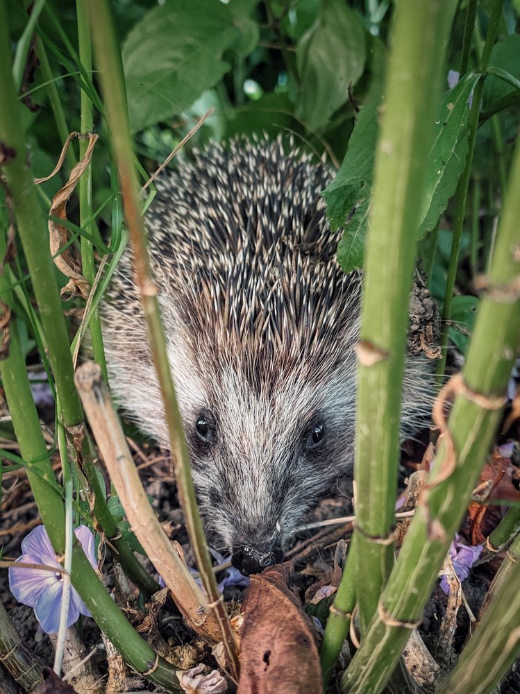 Photograph by Наталья Егорова