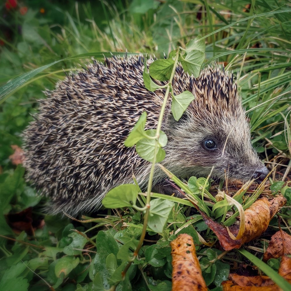 Photograph by Наталья Егорова