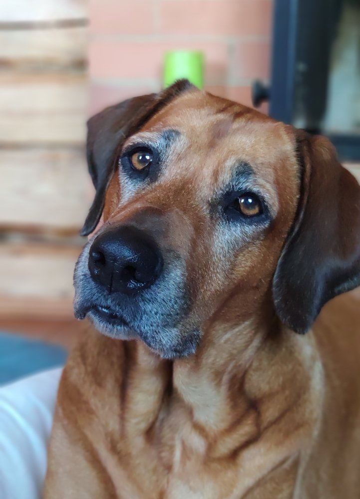 Photograph by Елена Позднякова