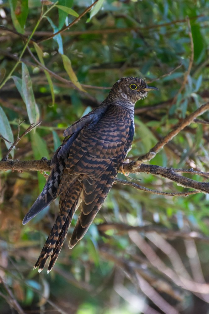 Photograph by Анастасия Киселева