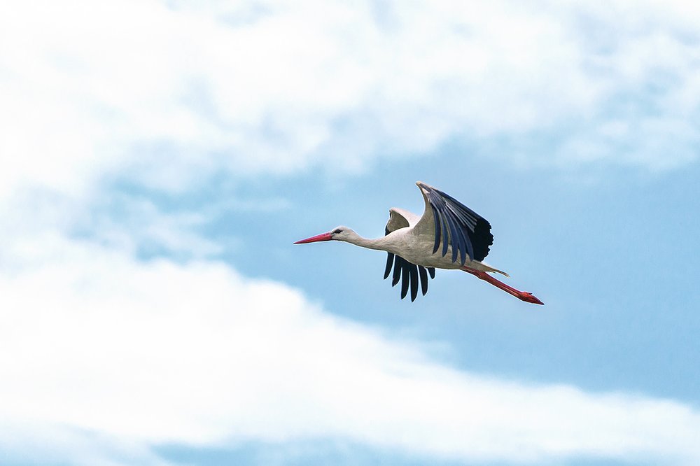 Фотография автора ЯR Ольга