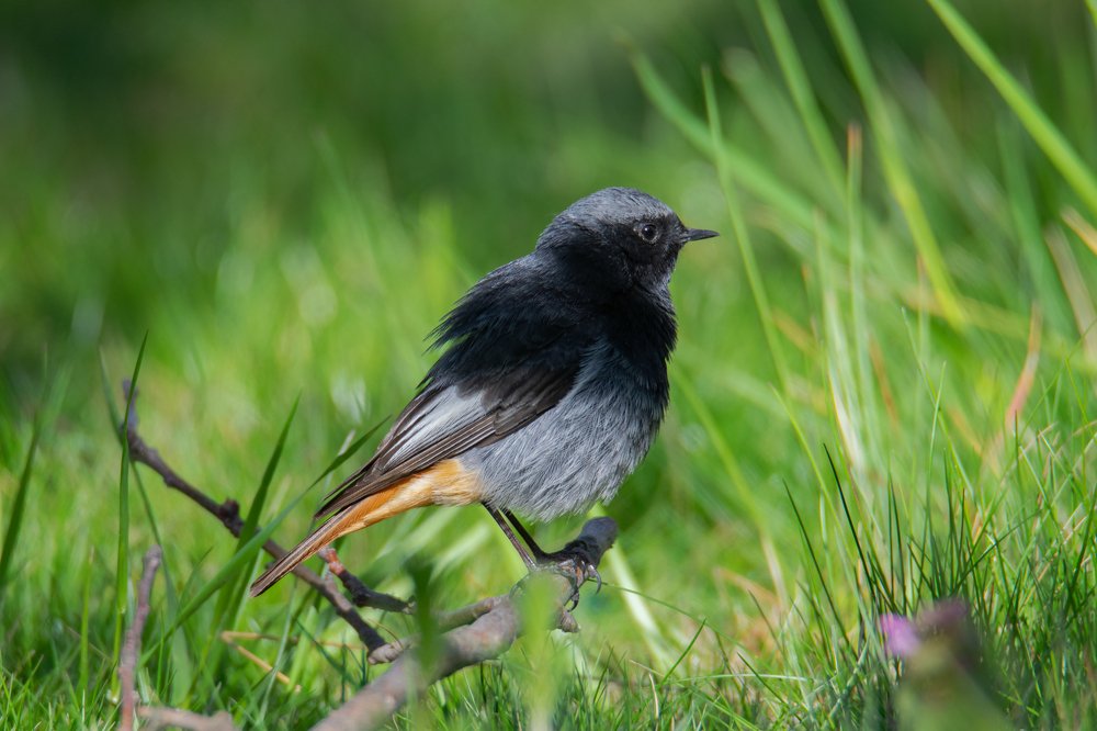 Photograph by Денис Ветренко