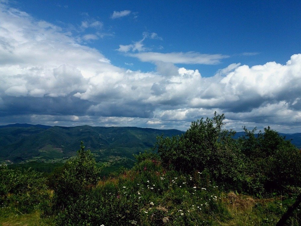 Carpathians