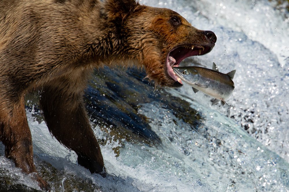 Photograph by Raquel Barao