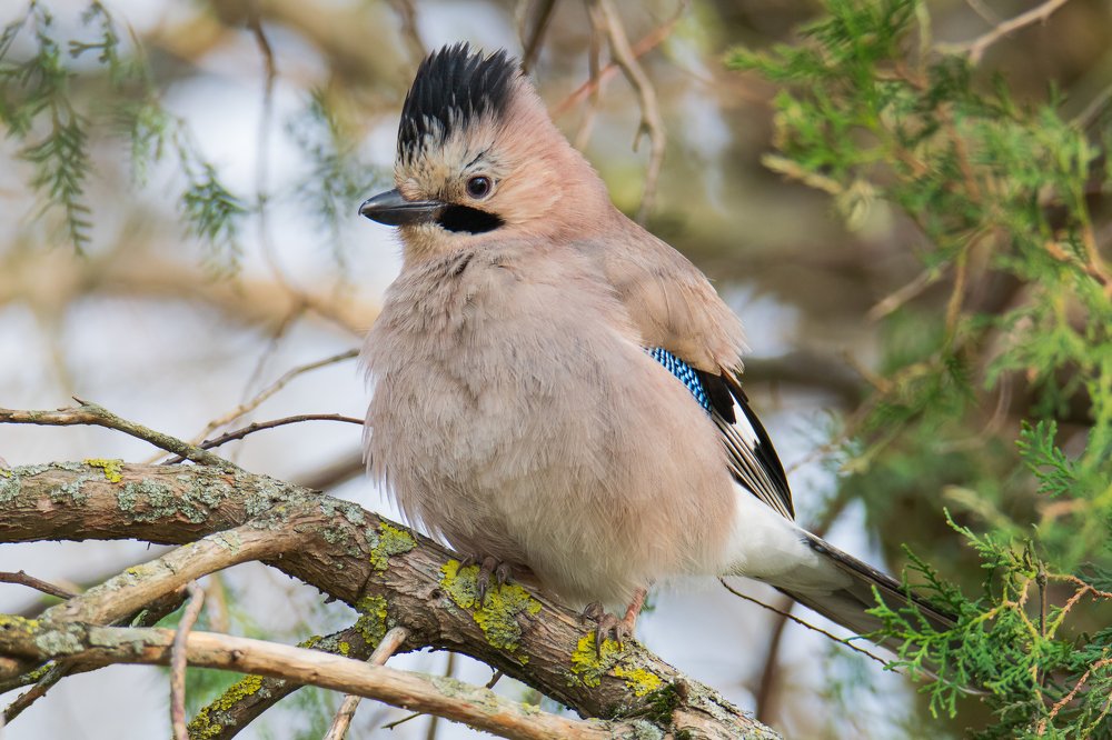 Photograph by Денис Ветренко