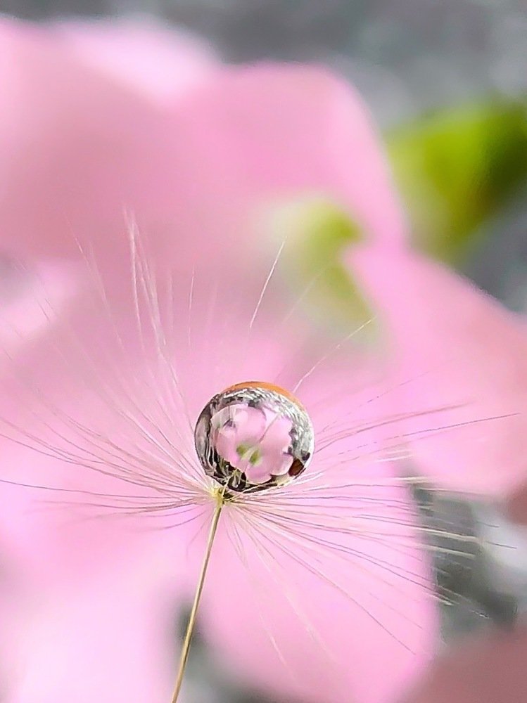 Photograph by Татьяна Левашова