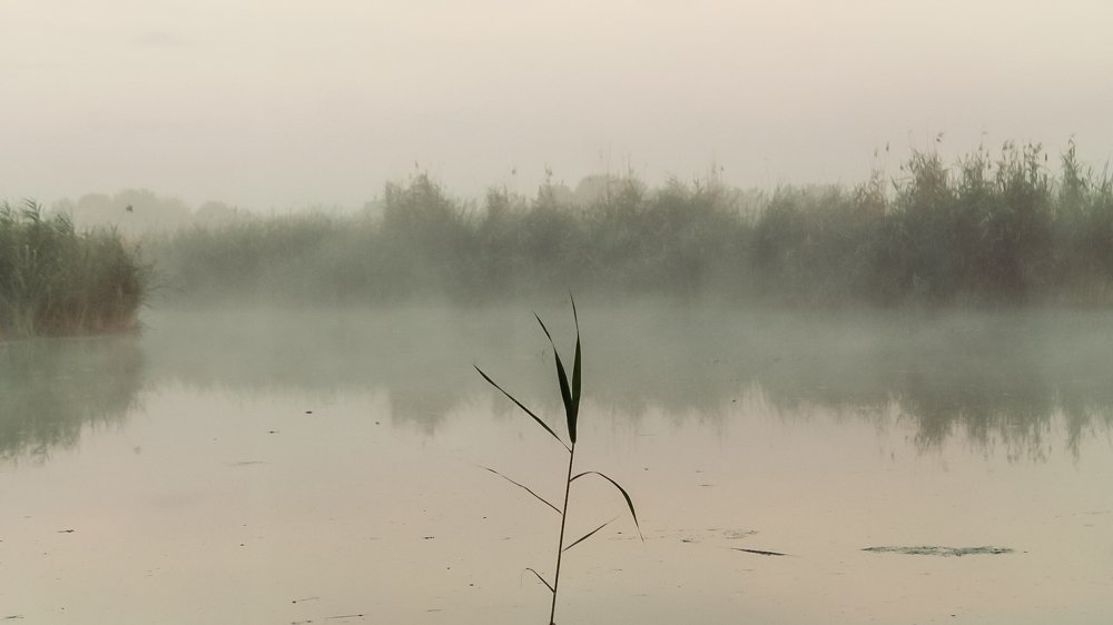 Photograph by Щербакова Элеонора