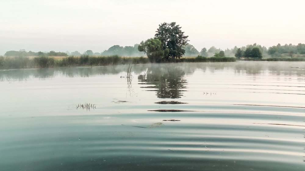 Photograph by Щербакова Элеонора