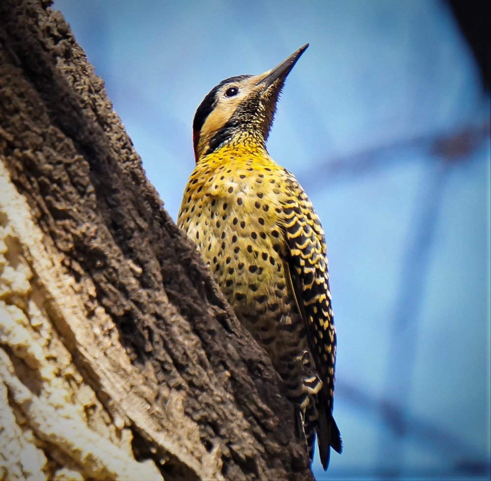 Photograph by Karina Elena Bergagna