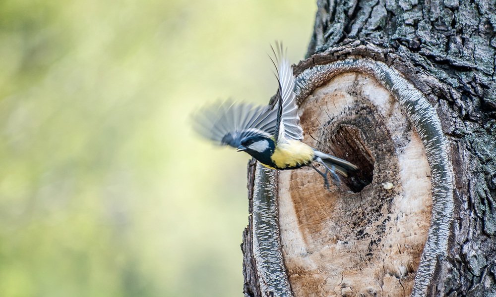 Photograph by Роман Приходько