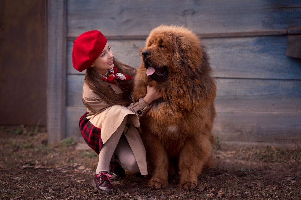 Photograph by Алла Ктеянц