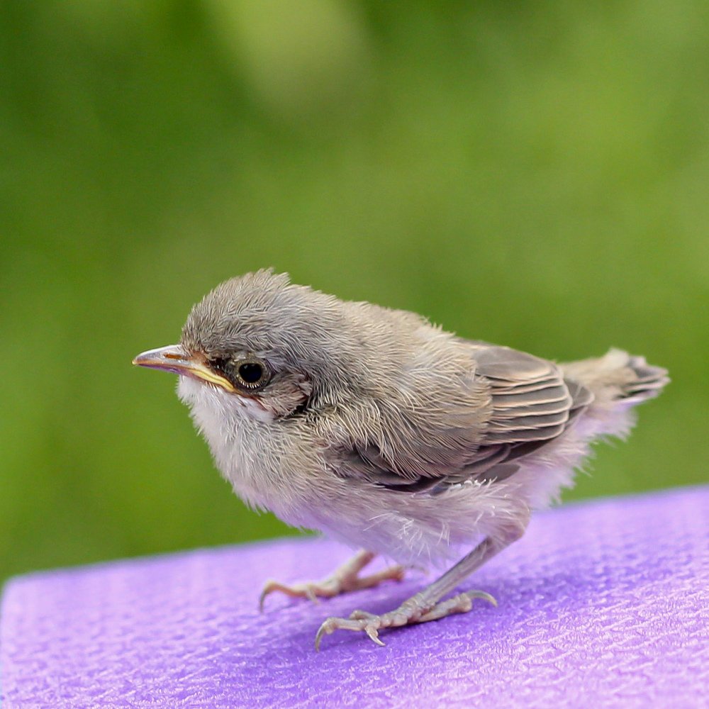 Photograph by Екатерина Топорова