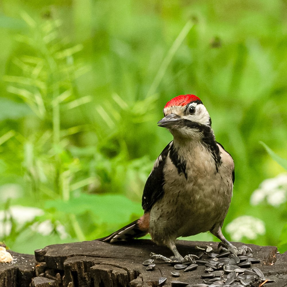 Photograph by Екатерина Топорова