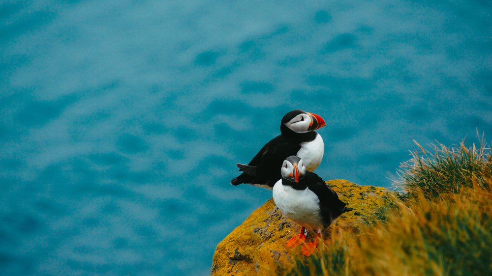 Photograph by Валерия Машкова