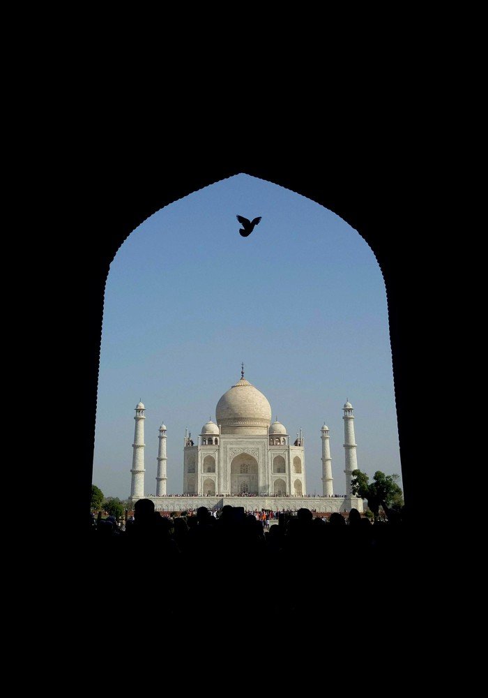 Photograph by Sai Vamsi Krishna Vintha