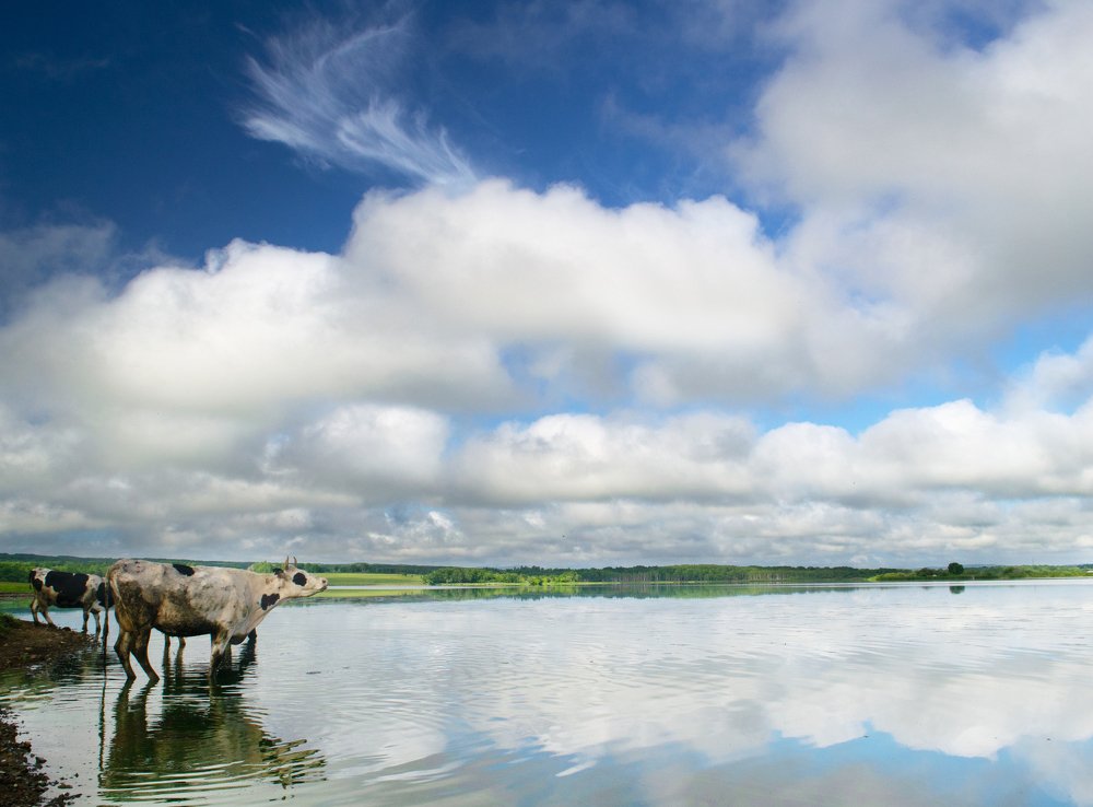 Photograph by Роман Смолко