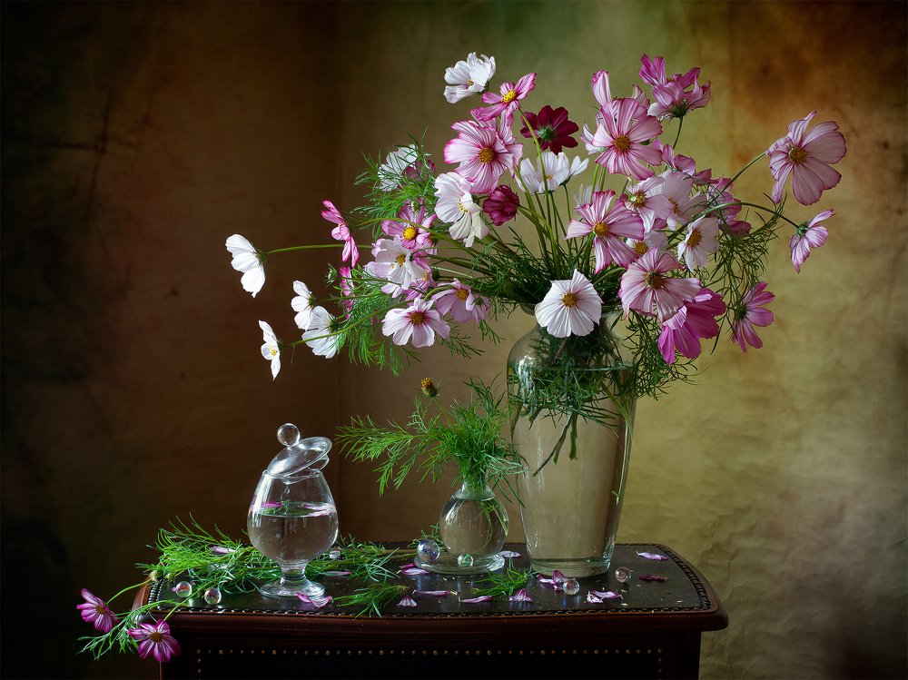 Эти милые космеи...