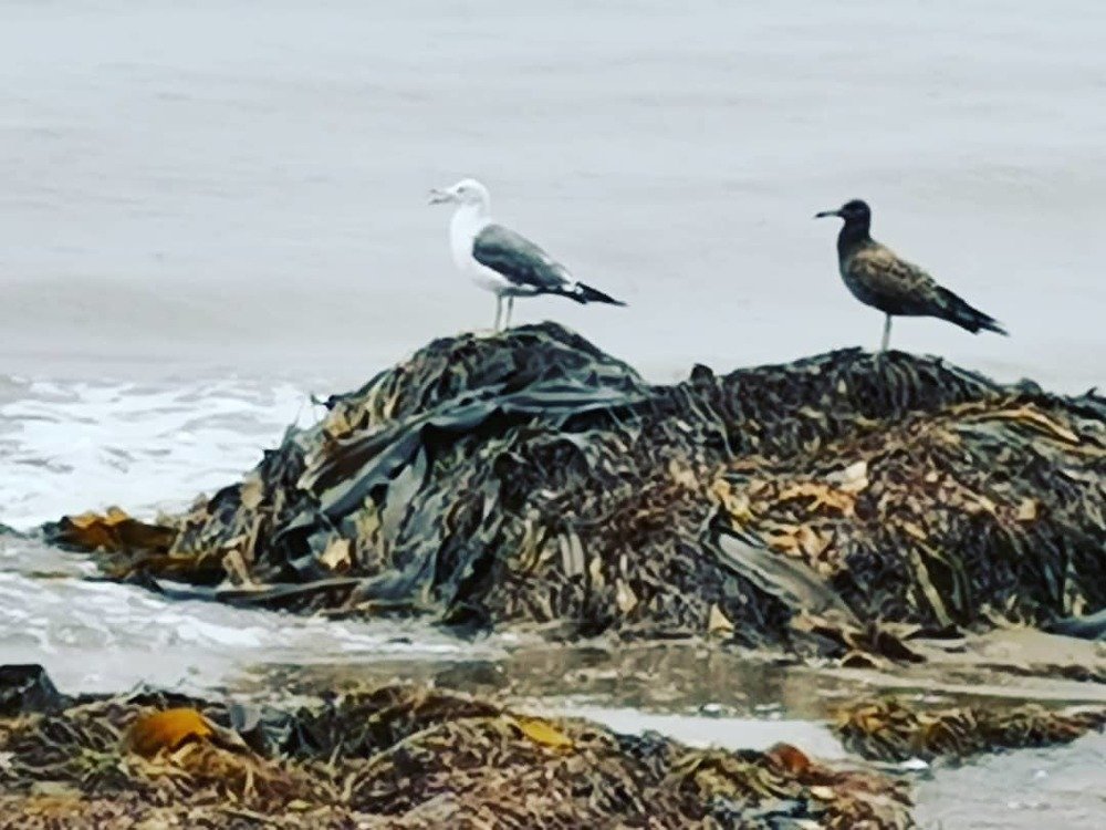 Photograph by Яна Балыкова