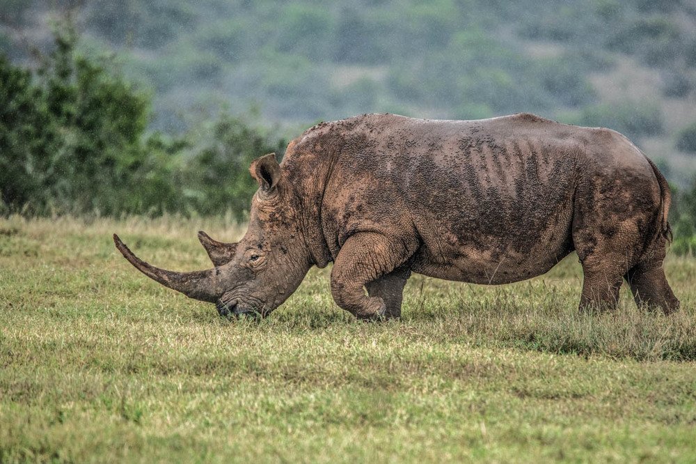 Фотография автора Renny Poulose