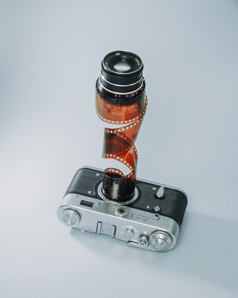 Photograph by Evan Levits