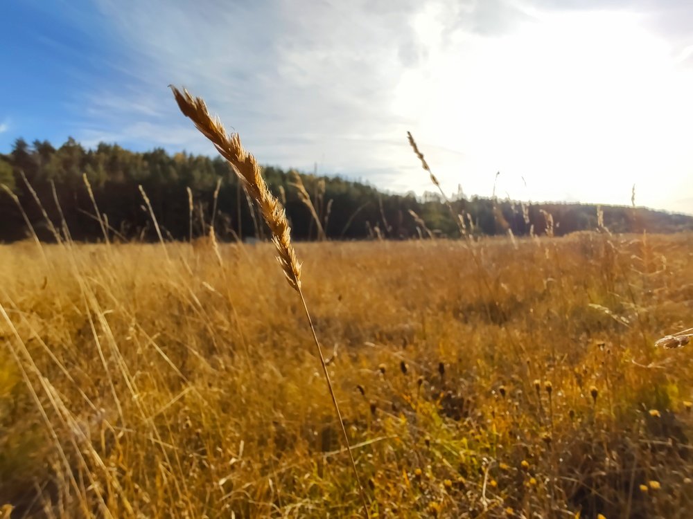 Photograph by Мария Пальчук