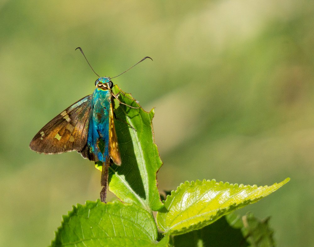 Photograph by Mónica Castaño