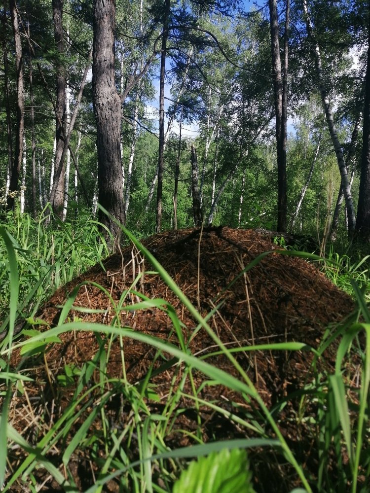 Photograph by Юлия Чувичилова