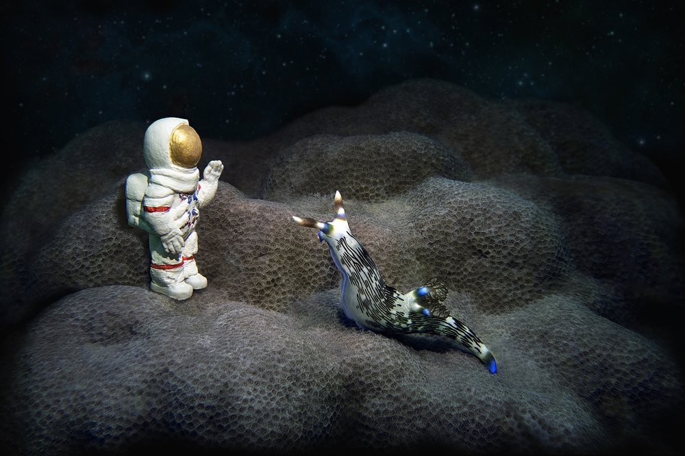 The first contact