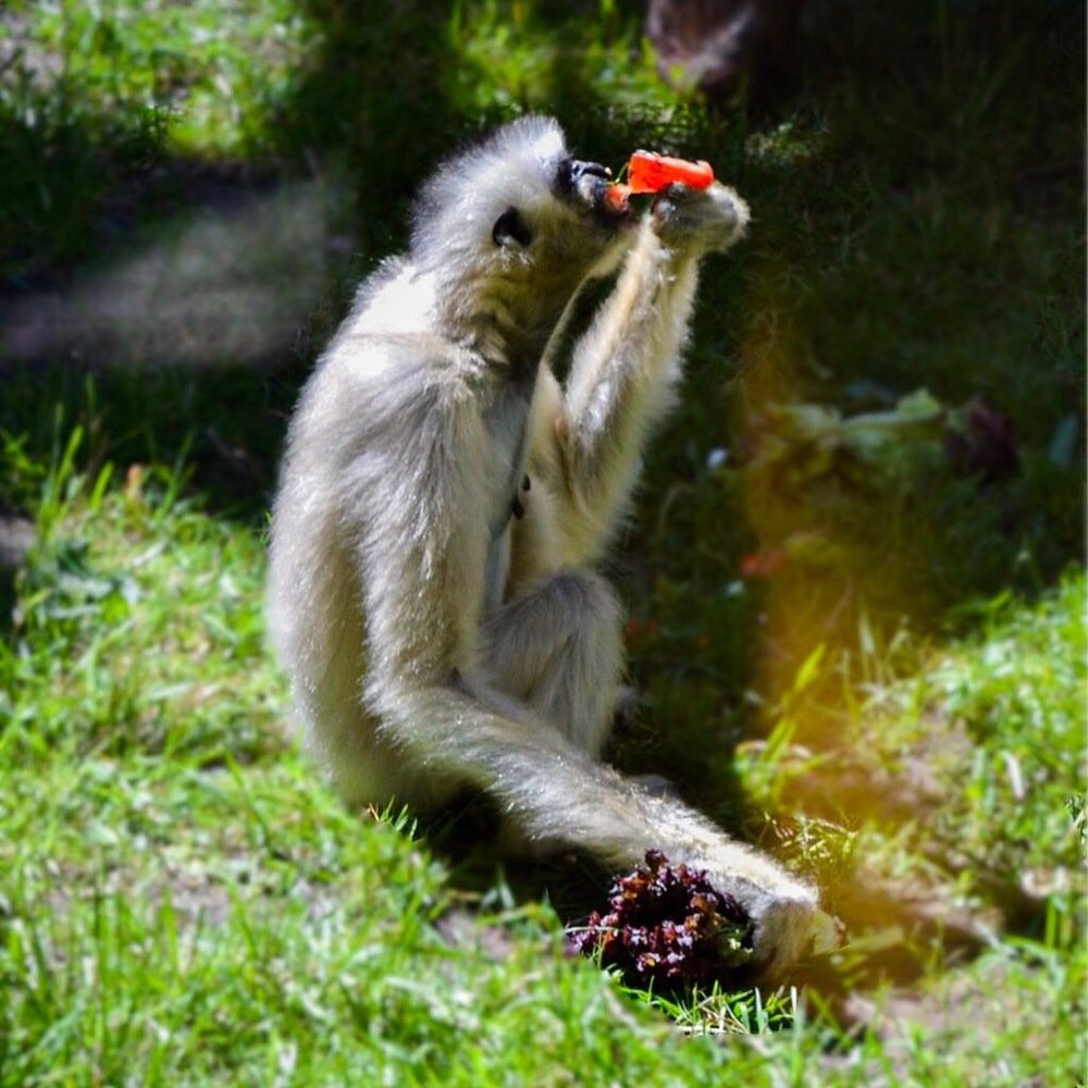 Photograph by Ahsan Ishtiaq