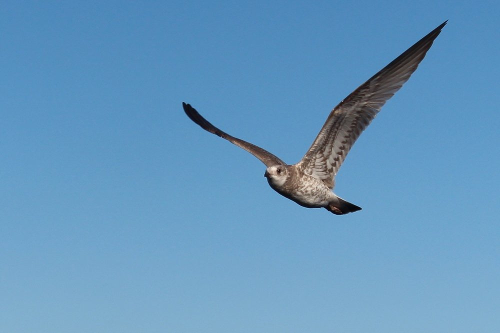 Photograph by Виталий