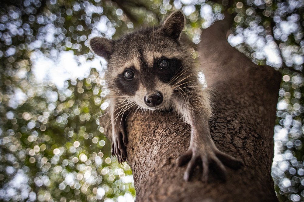 Photograph by Fernando Díaz
