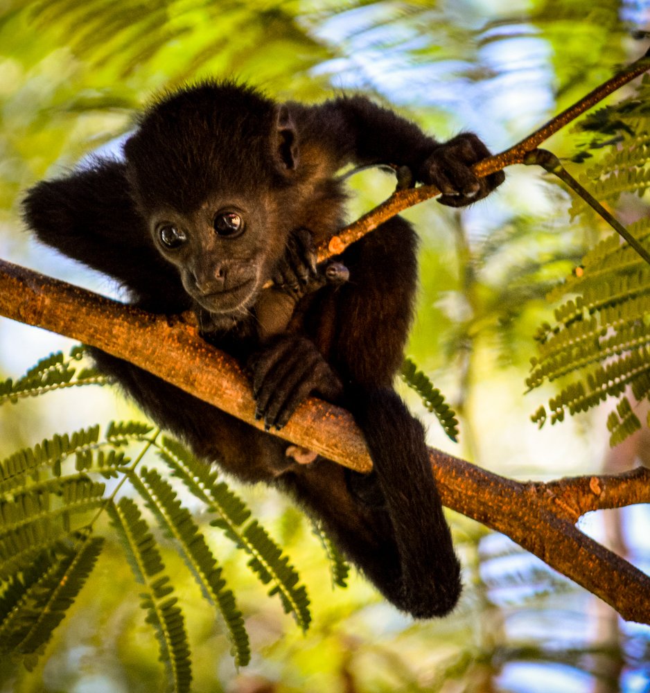 Photograph by Jason Danford