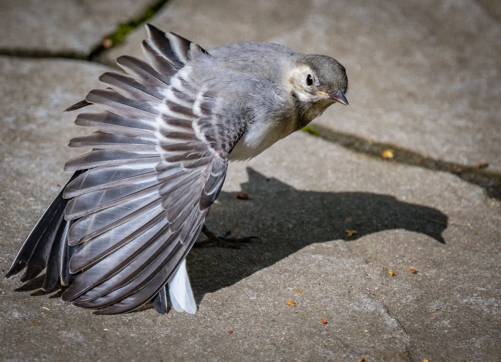 Photograph by Курлянцев Алексей