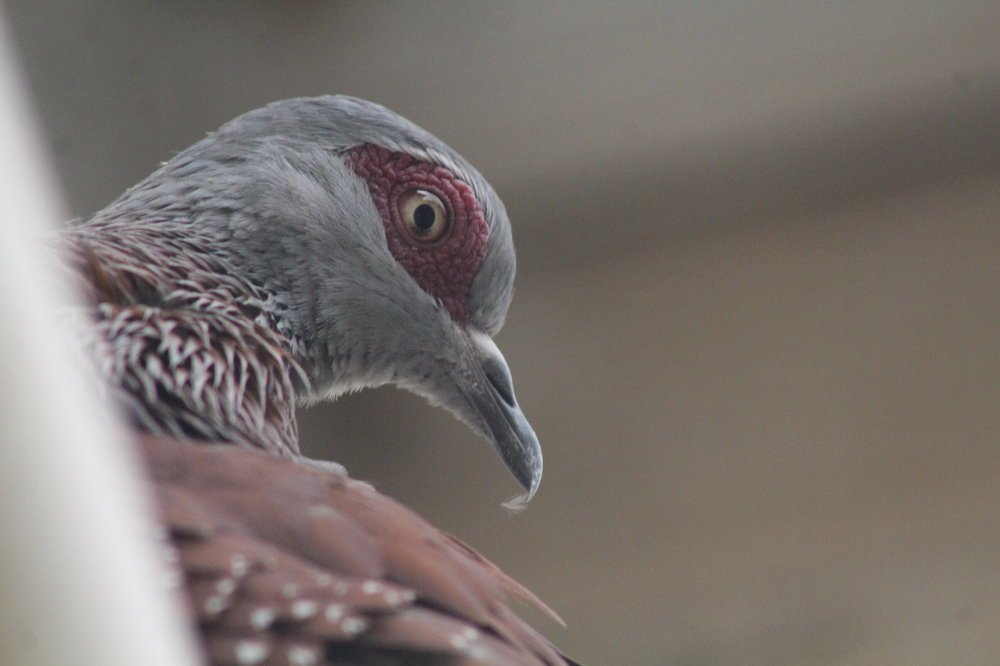 Photograph by Mackton Kipsang