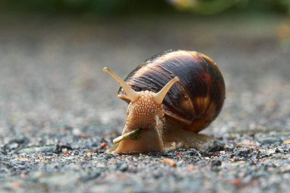 Городская суета. Едим на ходу.