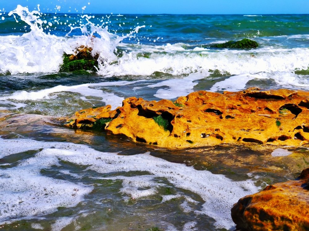 Photograph by Мария Пальчук