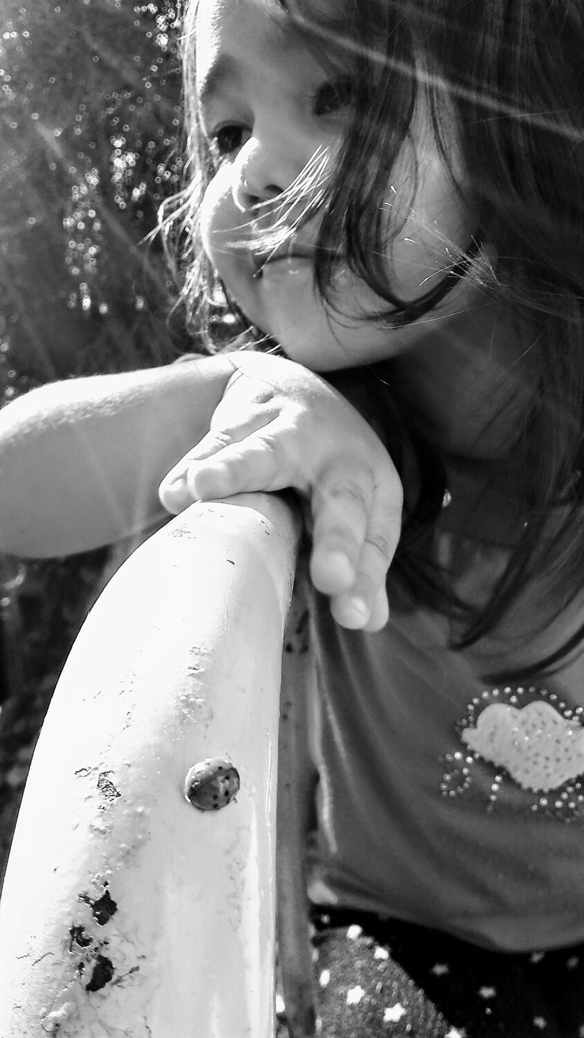 Photo #4858160