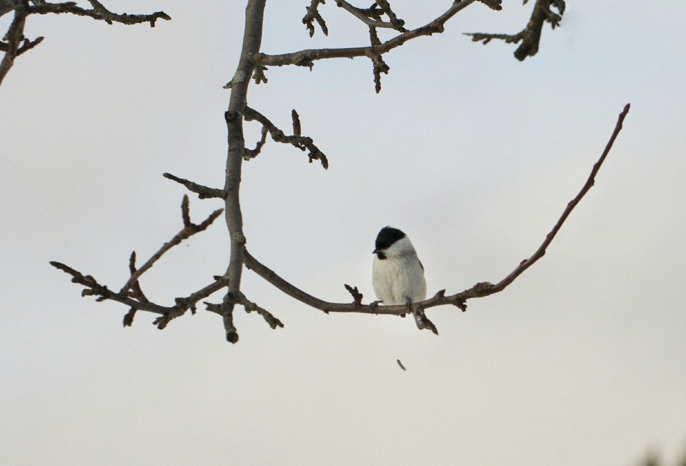 Photograph by Таня Короткова