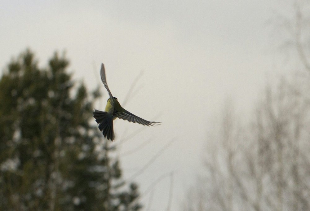 Photograph by Таня Короткова