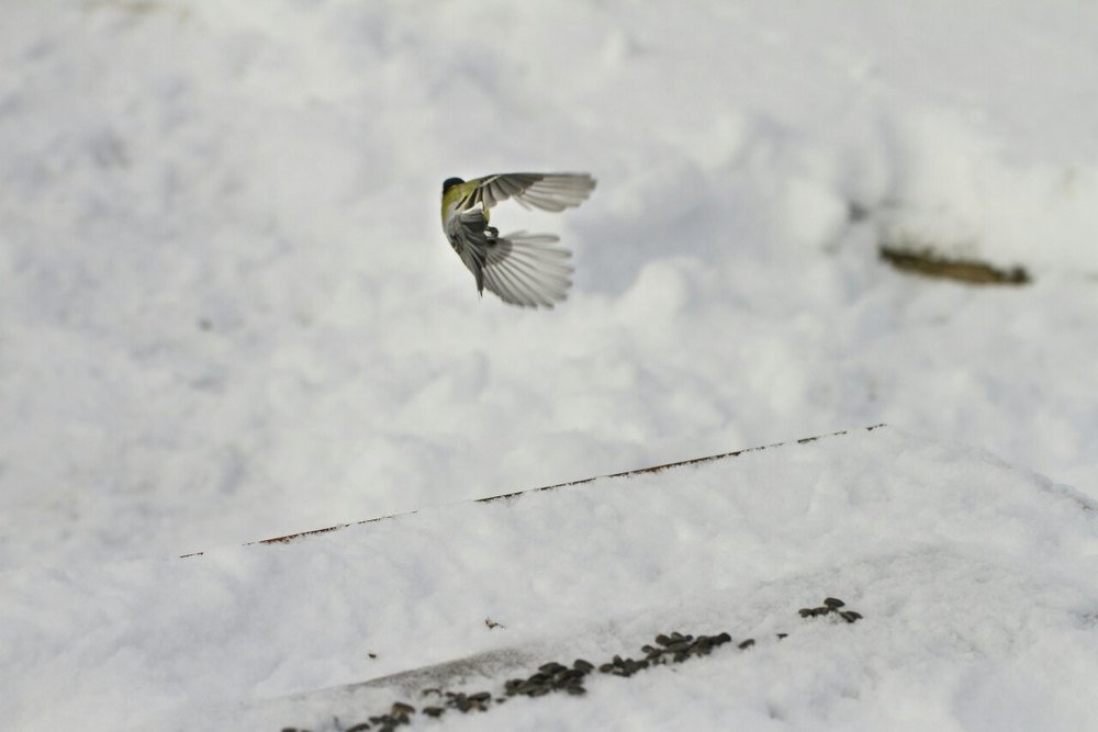 Photograph by Таня Короткова