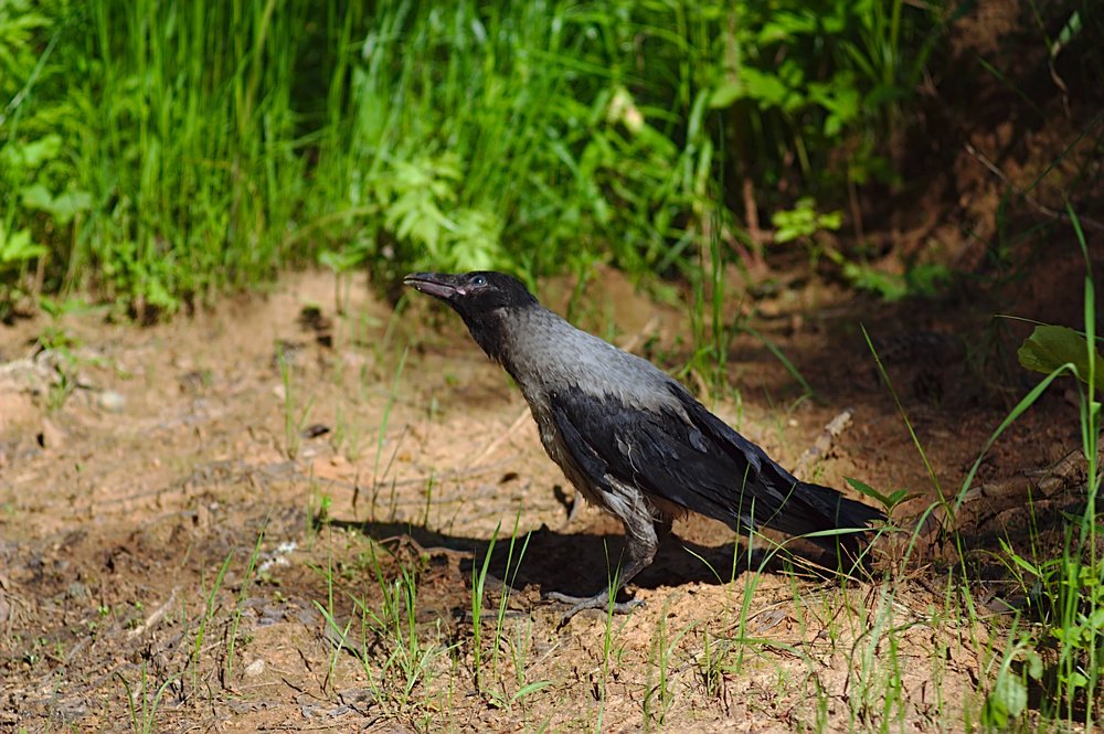 Photograph by Евгений Беленков