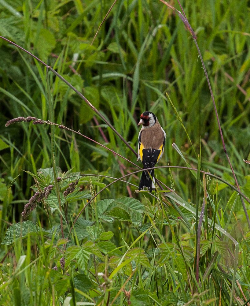 Photograph by Ольга Мажарук