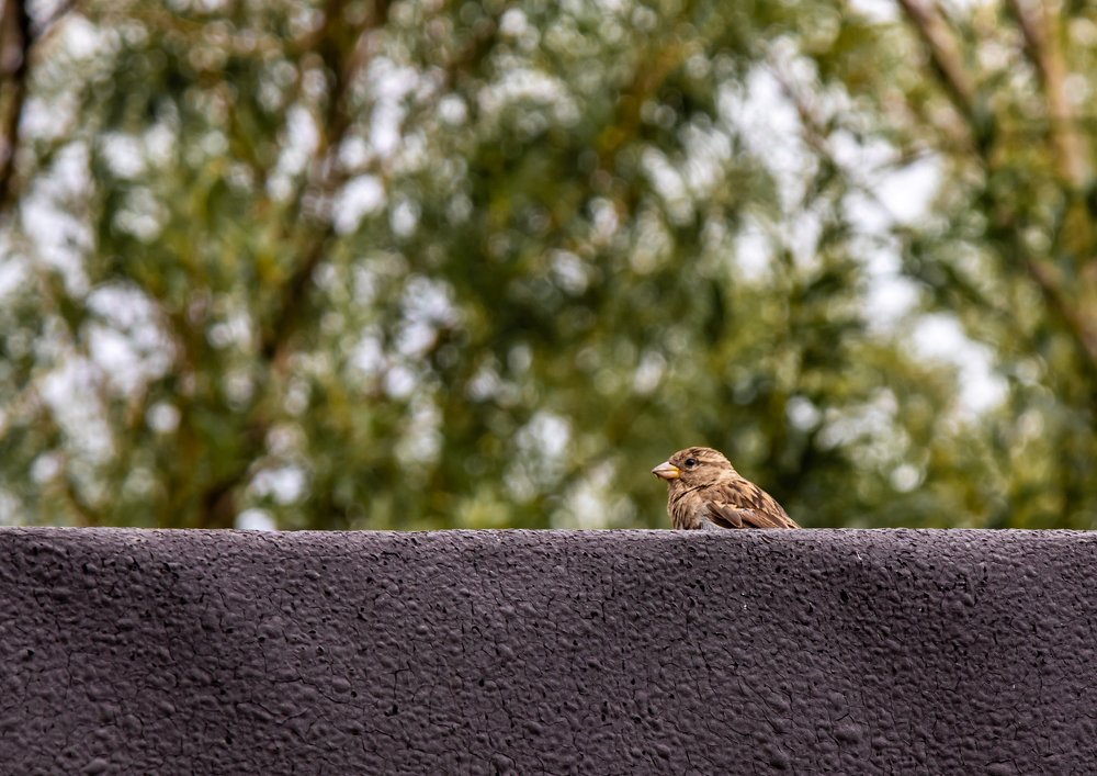 Photograph by Руслан Абдрашитов