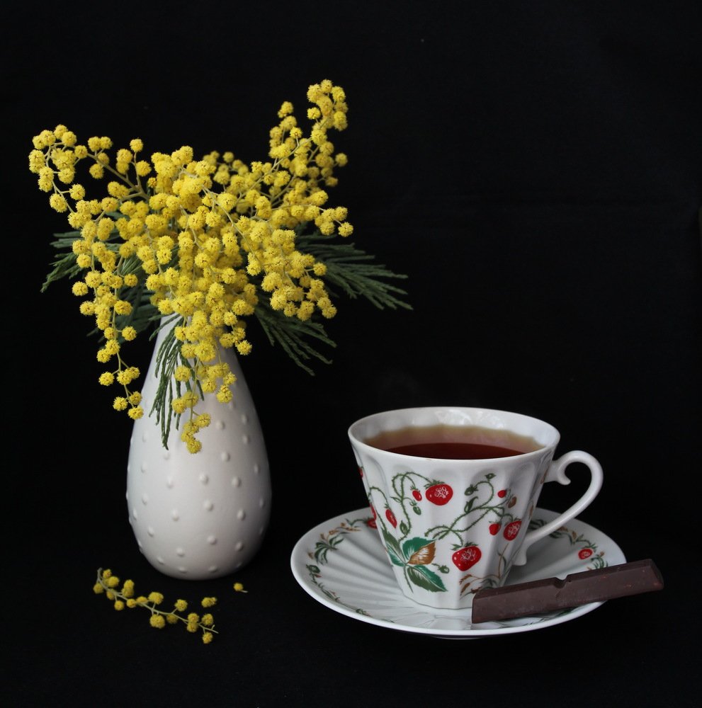 Фотография автора Елена Колосова