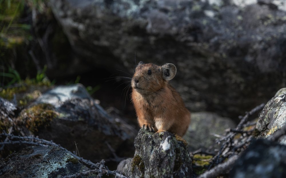 Photograph by Евгений Антонов