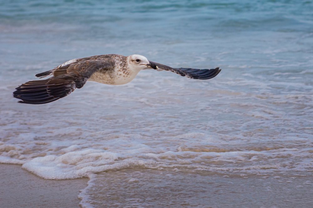 Photograph by Fabricio Bento