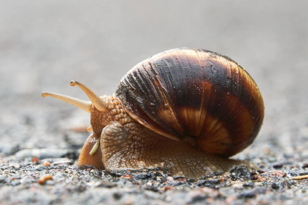 Photograph by Александр Огнев