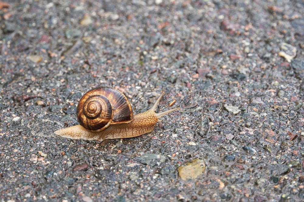 Photograph by Александр Огнев