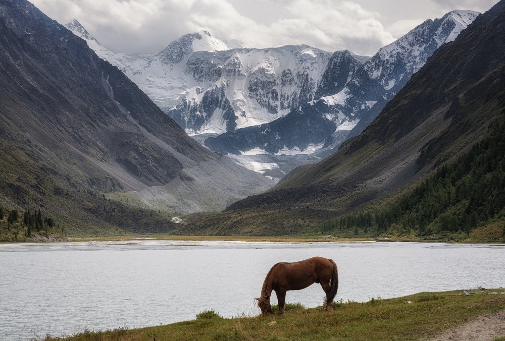 Photograph by Евгений Антонов